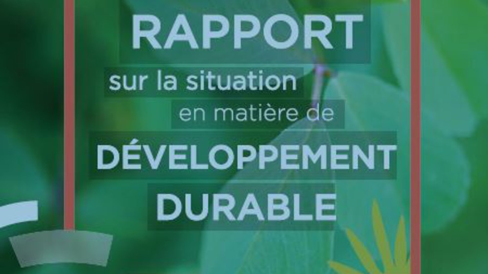 Developpement durable_rapport 2019