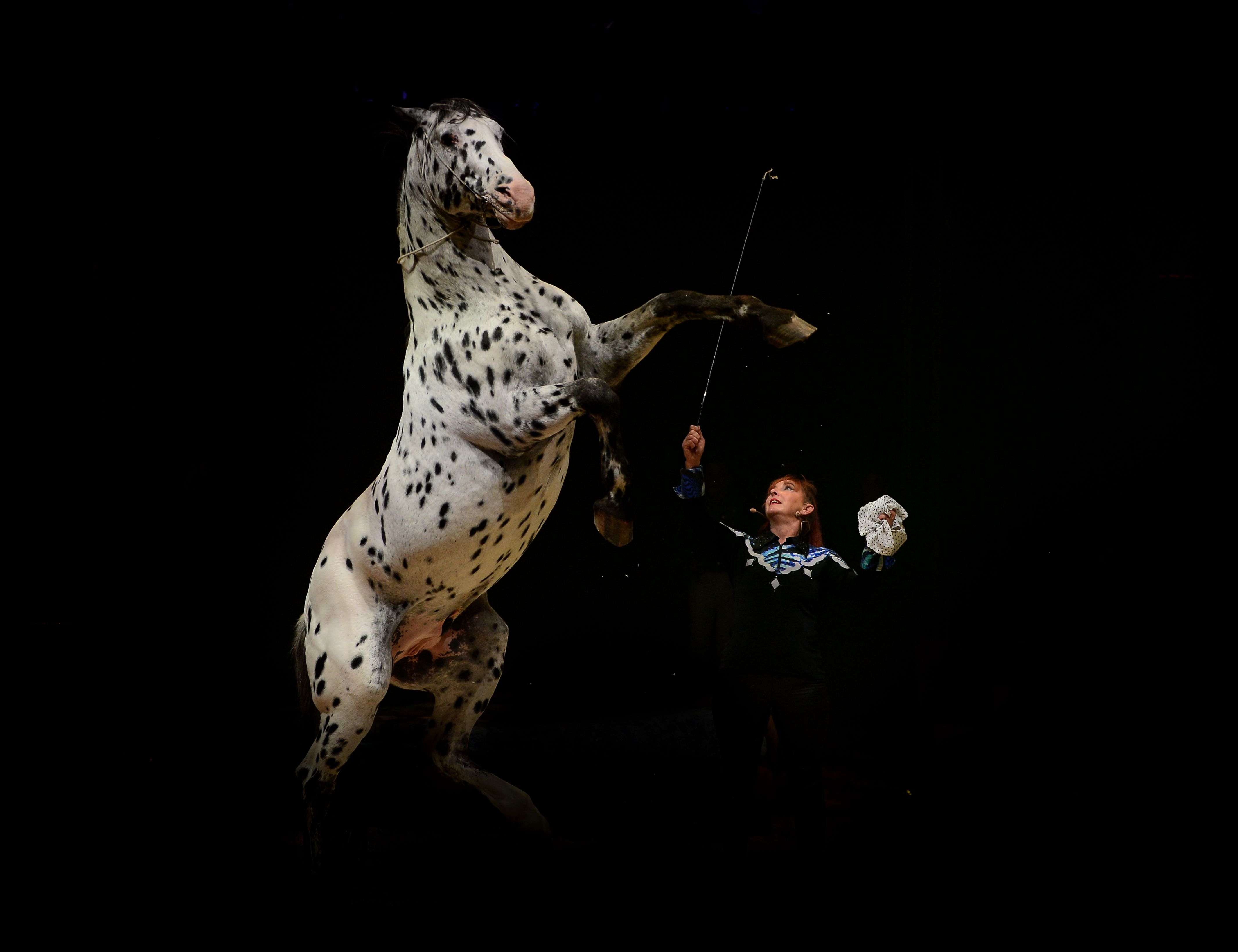 rosie_hochegger_et_cheval_l_de_serres_0.jpg