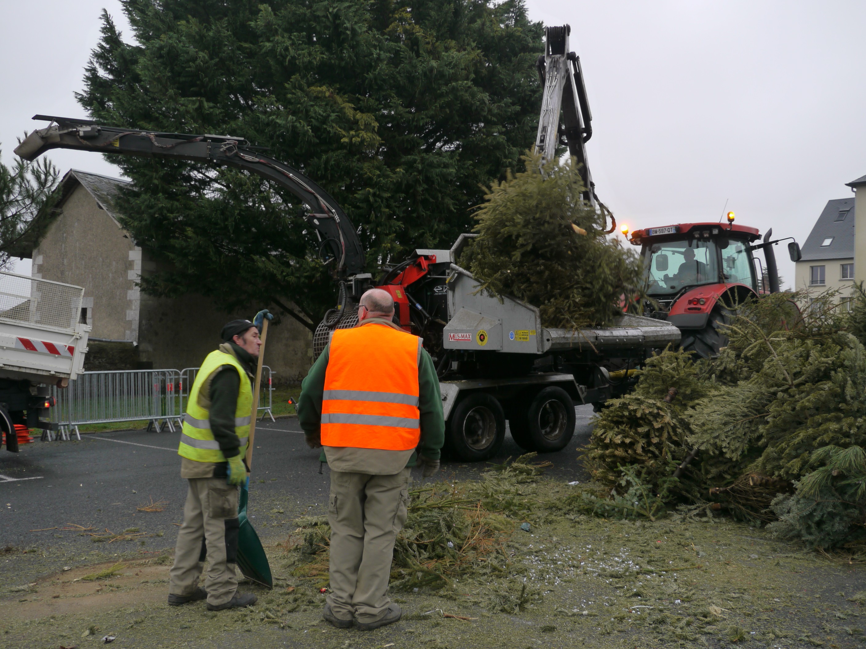 Tours : le mode d'emploi pour se débarrasser de son sapin de Noël