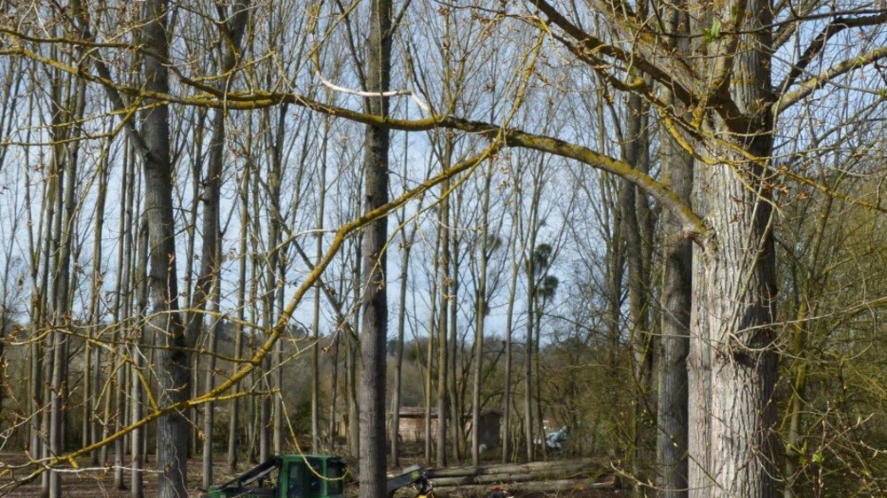 Peupleraie_La Gloriette